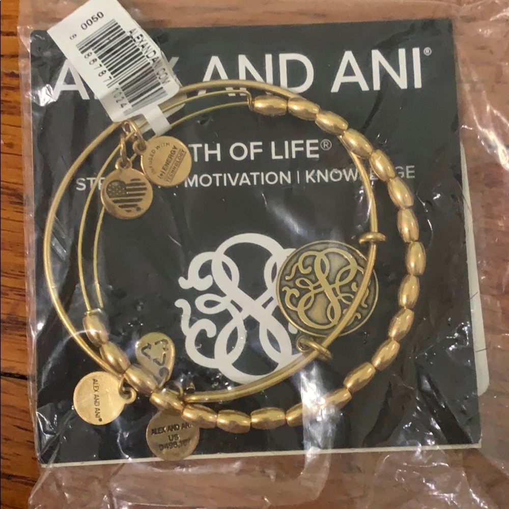 Alex and Ani Path of Life Bracelet